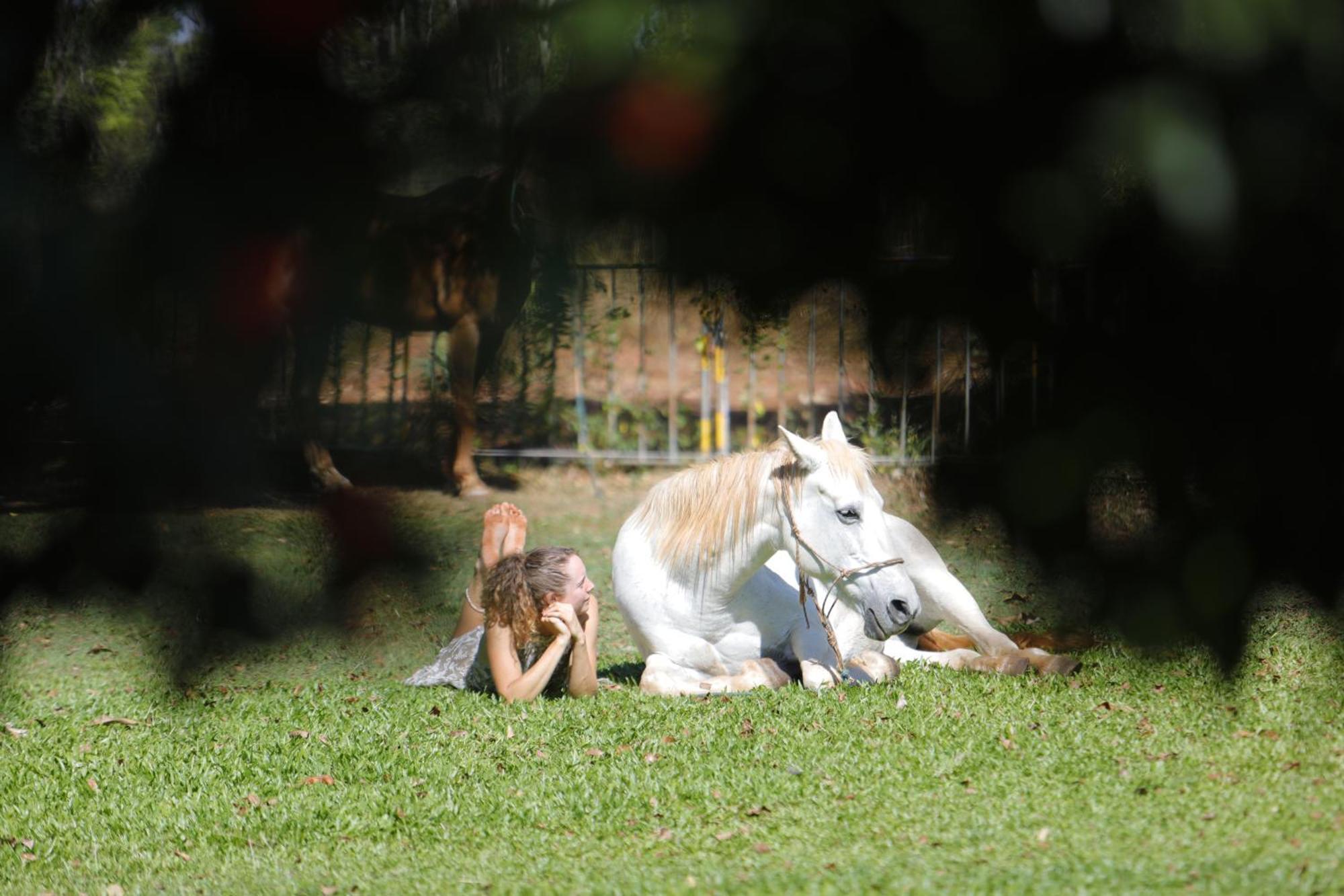 Banyan Tree Hotel Batchelor ภายนอก รูปภาพ